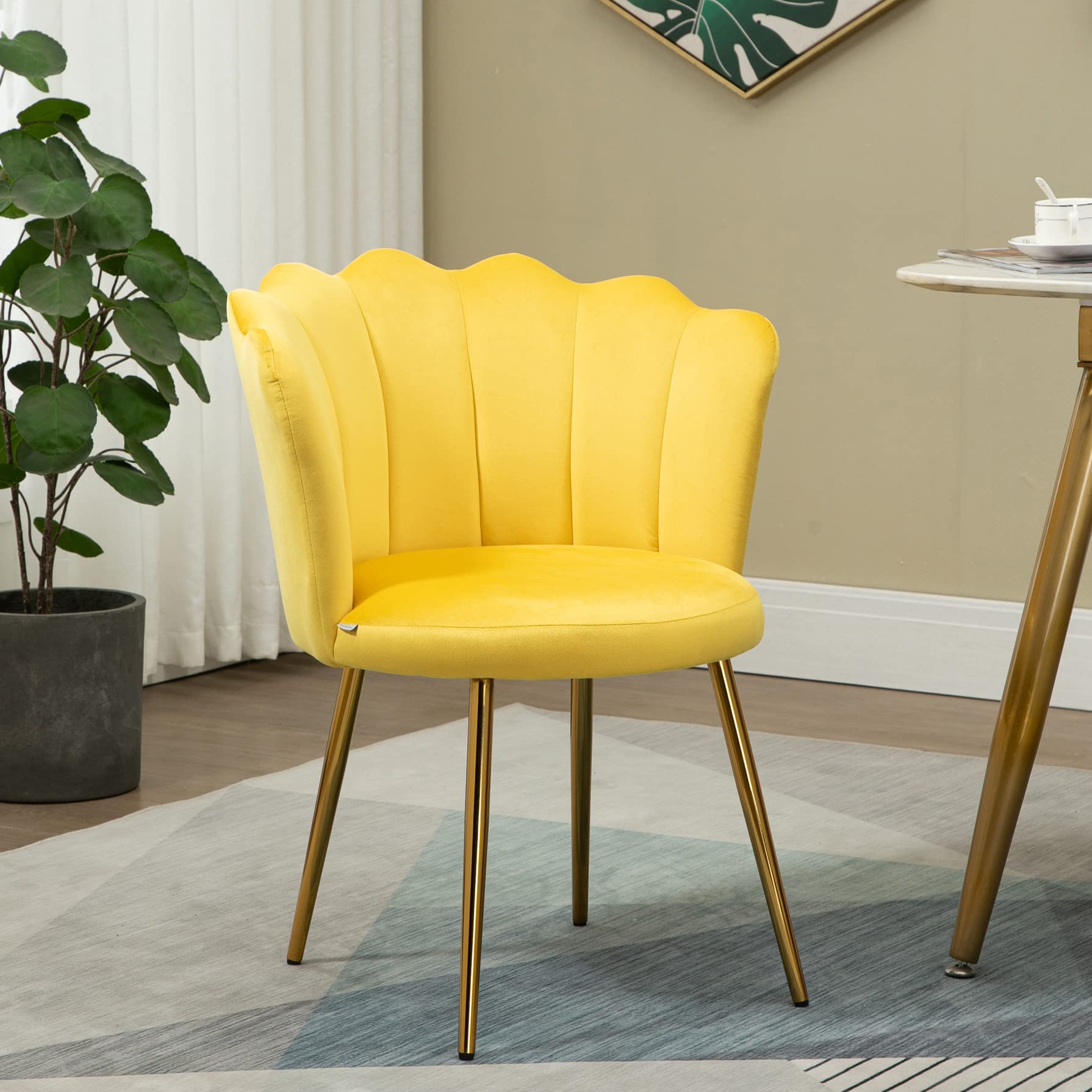 Yoluckea Velvet Accent Chair with Gold Metal Legs - Modern Upholstered Living Room Chair, Bedroom Vanity Makeup Chair & Dresser Stool for Home Decor | Perfect for Lounge, Dressing Area & Cozy Reading Nook