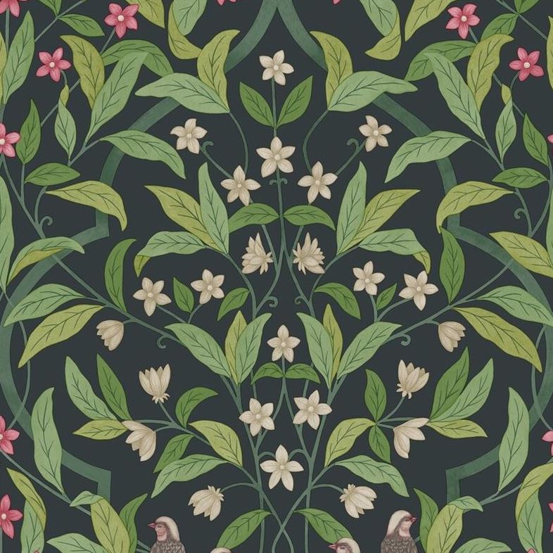 Cole and Son Jasmine and Serin Symphony Black Botanical Wallpaper – Elegant Floral Design for Living Room, Bedroom & Home Decor