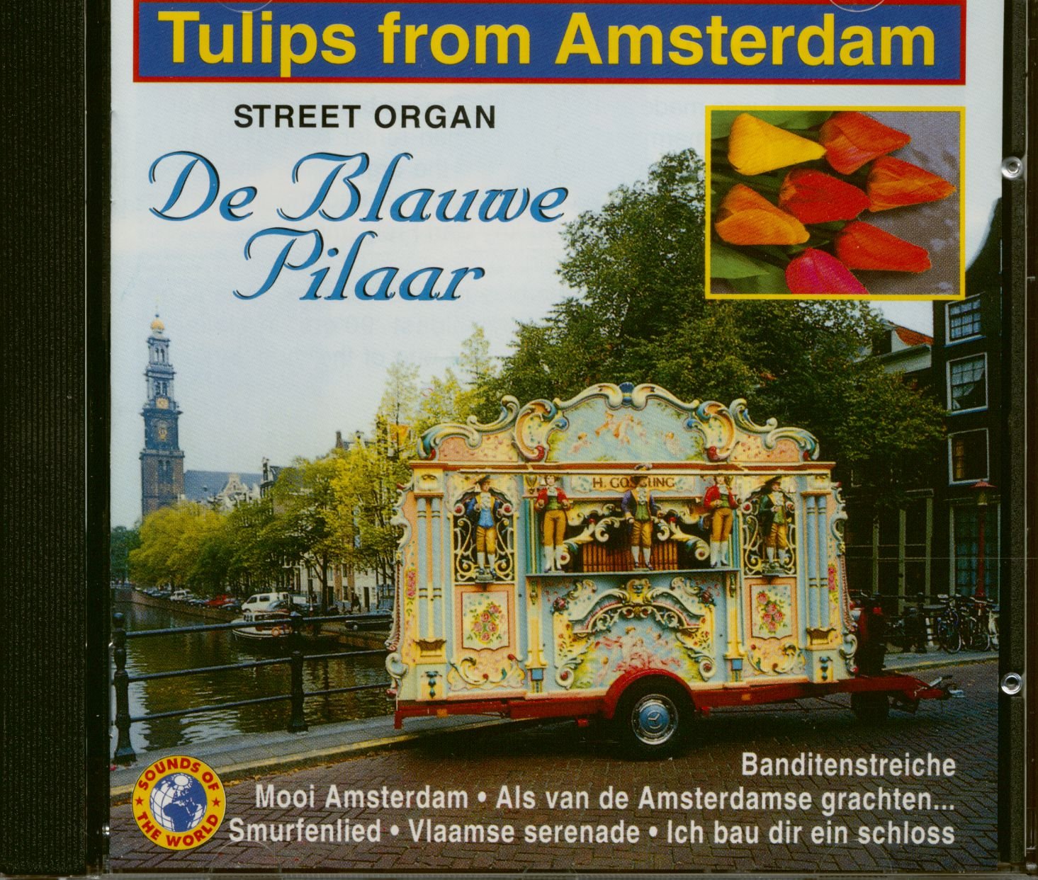 Premium Dutch Tulip Bulbs from Amsterdam - Fresh & Vibrant Flowers for Garden Planting, Home Decor & Gift Giving