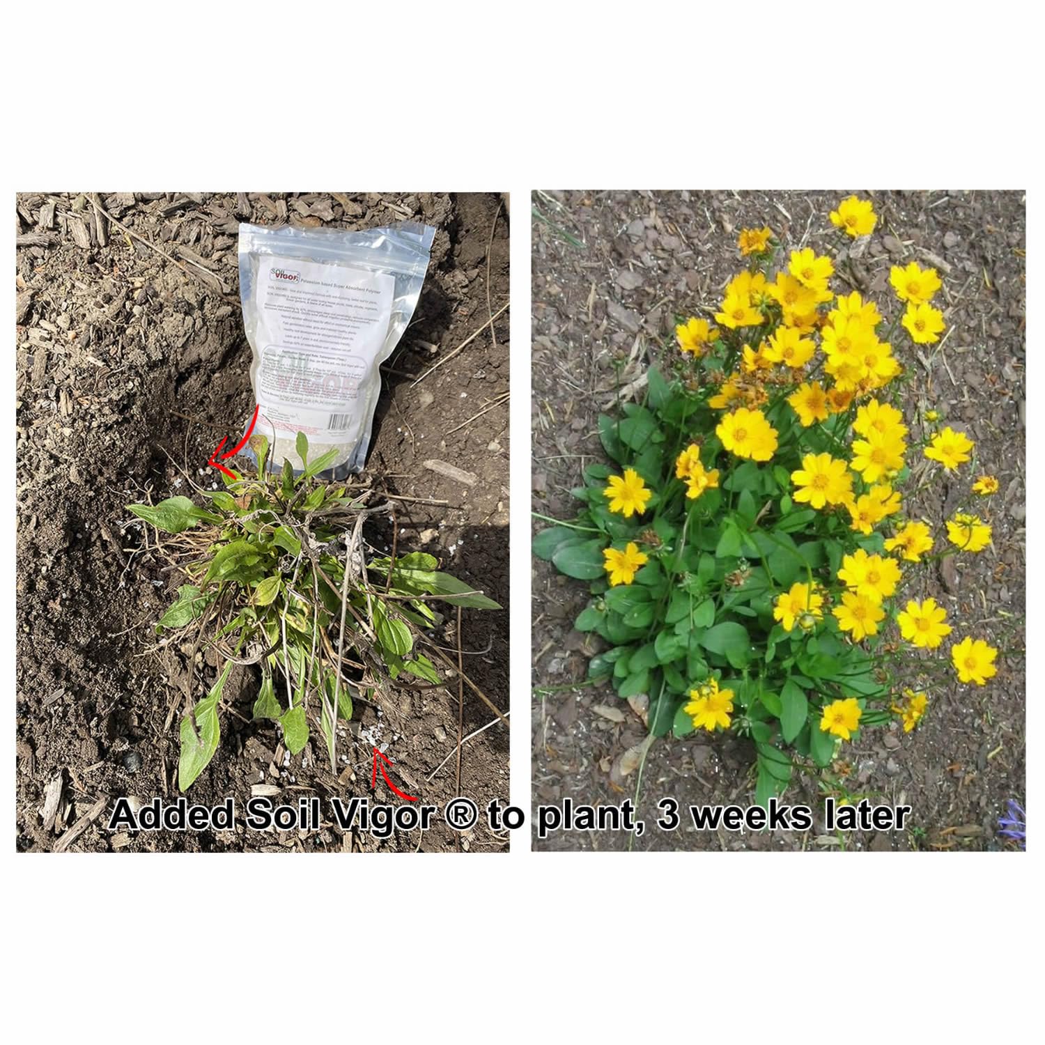 Premium Water Storing Crystal Soil Additive - Commercial Grade Hydrogel for Plants (2 Pack) | Ideal for Indoor/Outdoor Gardening, Landscaping & Drought-Resistant Plant Care