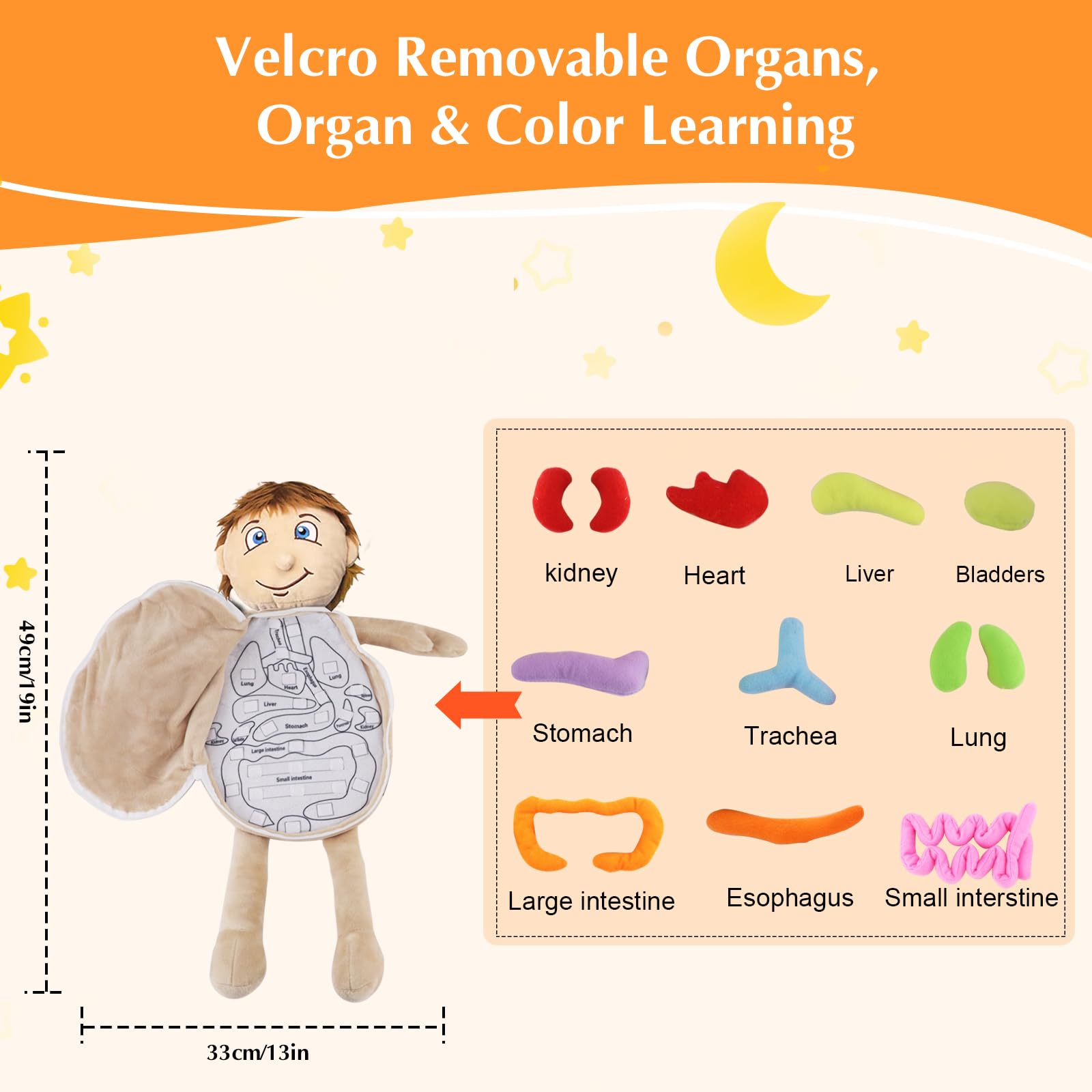 Vocheer Human Body Anatomy Toy - Montessori Preschool Educational Organ Plush Toys for Kids, Science Learning Kit for Students | Body Organ Awareness Teaching Tool for Boys & Girls | Perfect for Classroom, Homeschooling & STEM Learning Activities