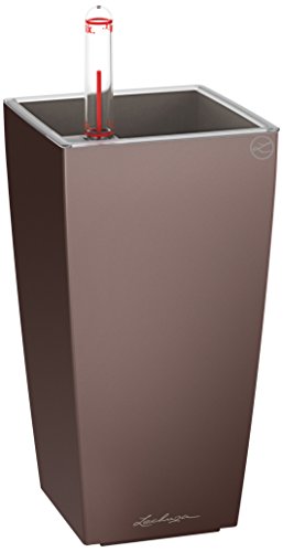 Espresso Metallic