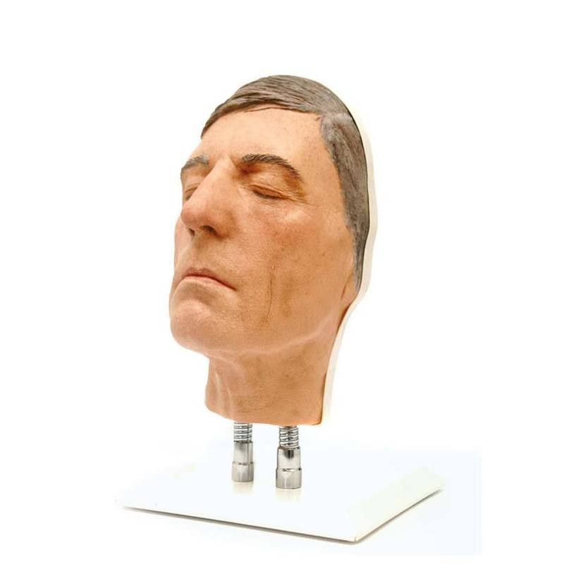 Professional Facial Injection Head Model for Medical Training - Light Skin Aged Male (Version D) - Ideal for Dermatology & Aesthetic Practice, Cosmetology Schools, and Injection Technique Demonstration