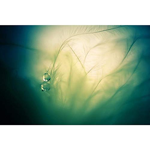 Handmade Playing with Feathers Canvas Wall Art - Small Size Modern Home Decor for Living Room, Bedroom & Office | MARMONT HILL