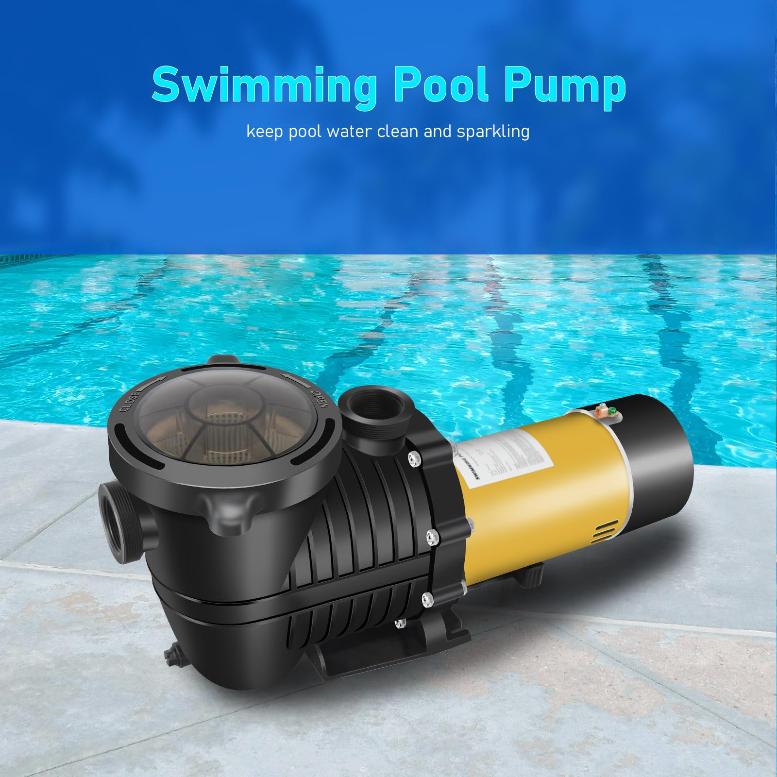 PureBy 1.5HP Energy Efficient Dual Speed Pool Pump - Inground/Above Ground Swimming Pool Circulation System with 1.25'' & 1.5'' NPT Unions (230V) - Perfect for Backyard Pool Maintenance, Water Filtration & Summer Swimming