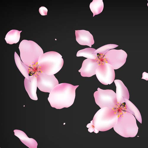Cherry Blossom