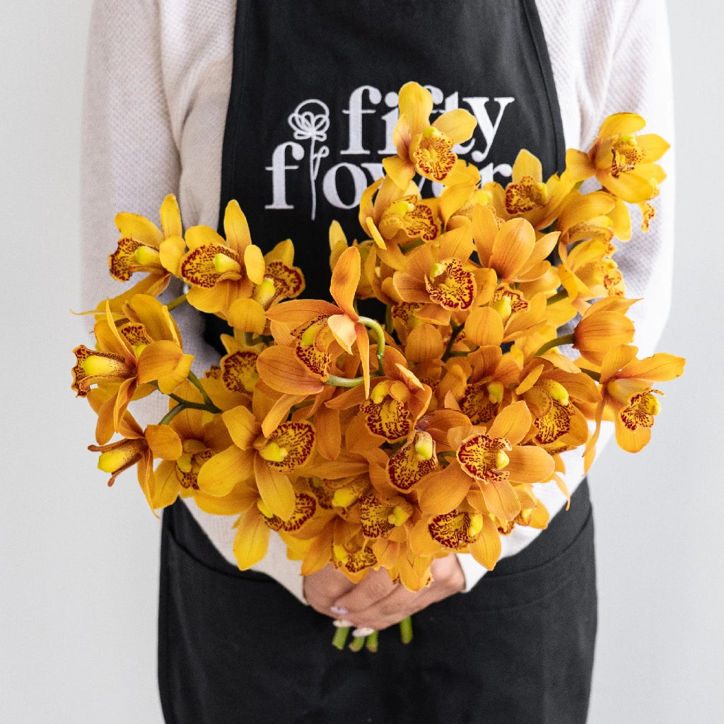 Amber Orange Mini Cymbidium Orchid - Exotic Small Orchid Plant for Home Decor, Office Desk, Wedding Centerpieces & Gift Giving