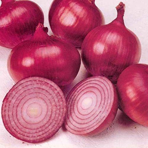 Organic Red Creole Onion Seeds - Non-GMO Heirloom Vegetable Seeds (150 Count) for Home Gardening, Cooking & Fresh Salads