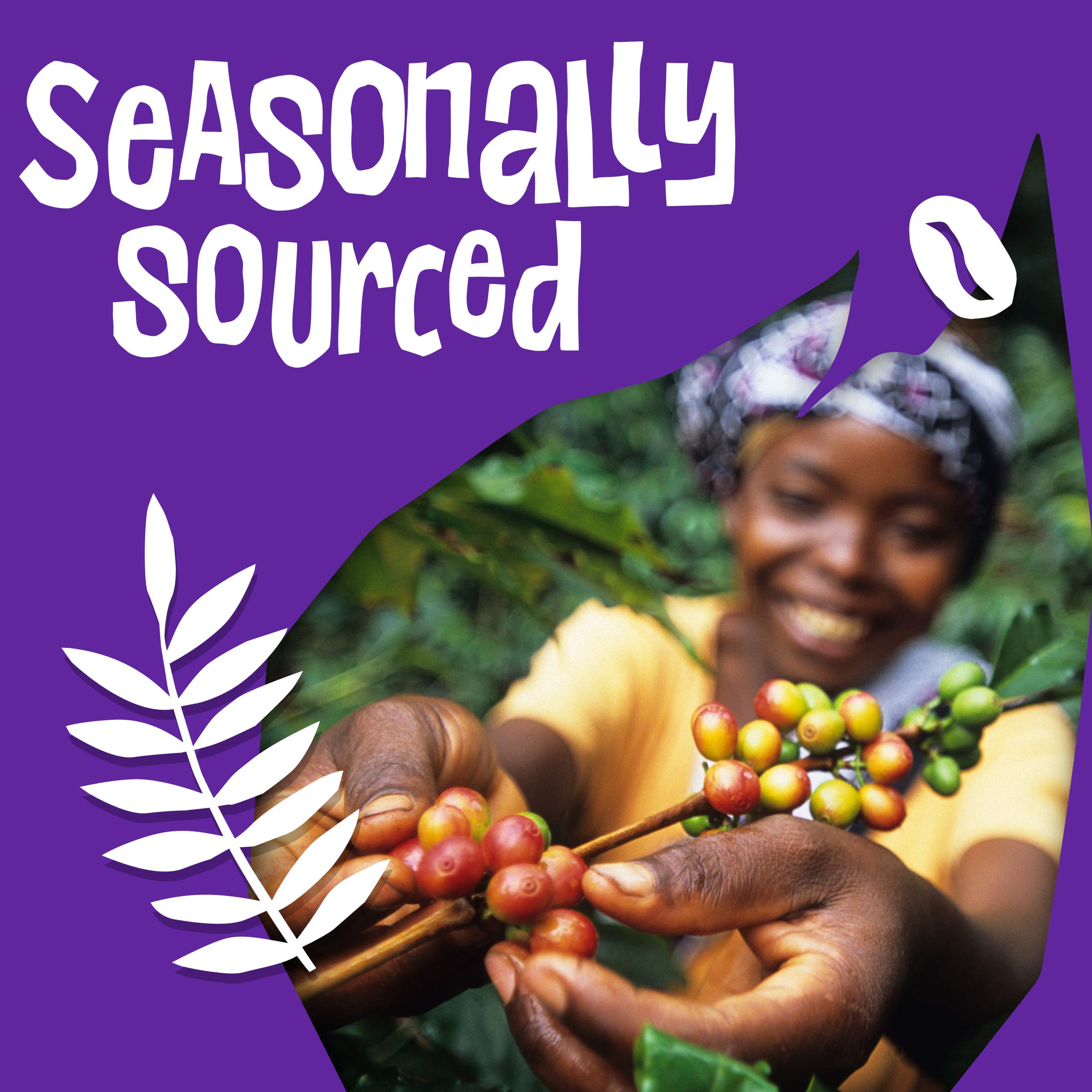Fairtrade Organic Arabica Coffee - Medium Dark Roast Ground Beans (8 oz) for Home Brewing