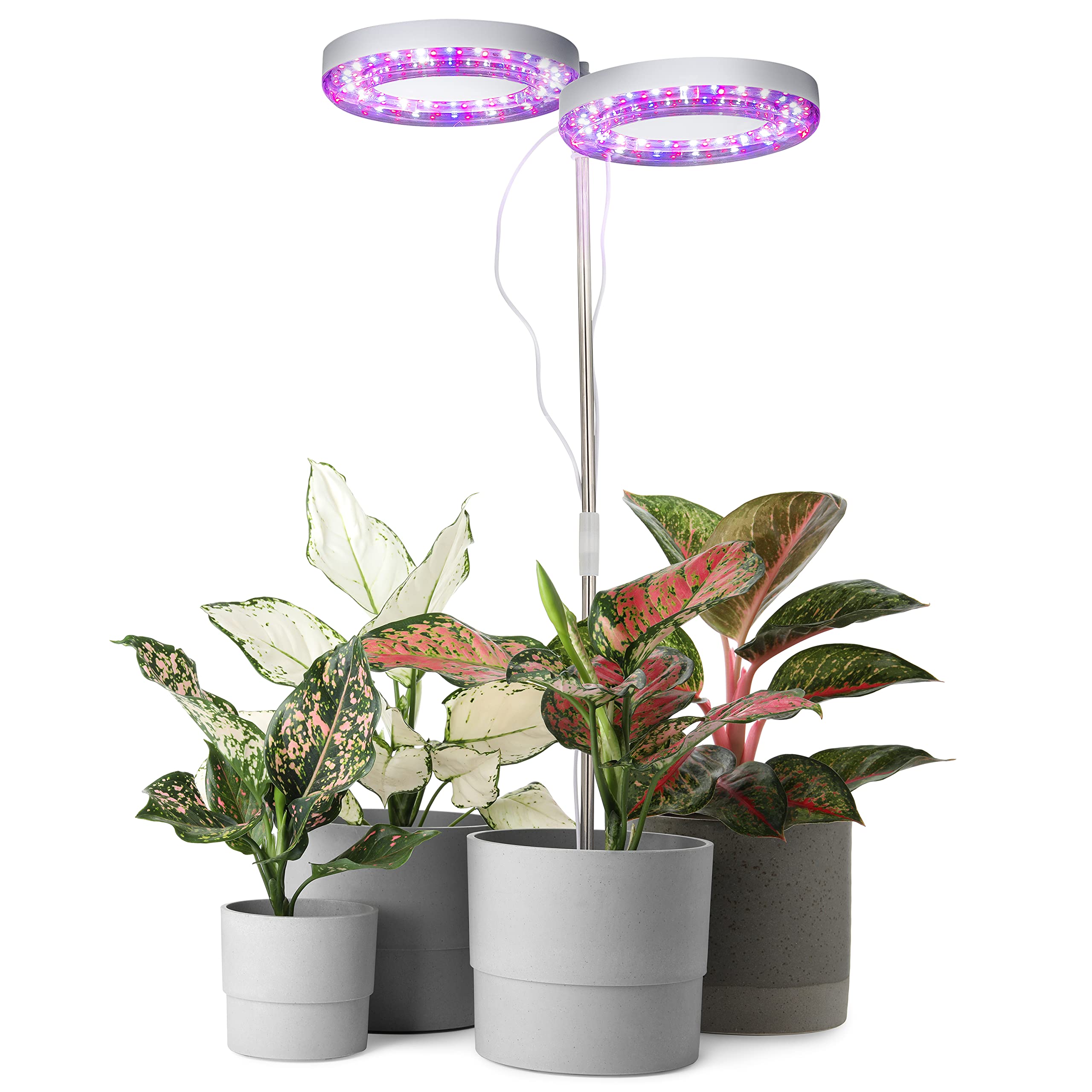 Halo Plant Light - 2 Adjustable LED Rings with Red Blue White Full Spectrum - Indoor Grow Lights for Plants, Seedlings, Succulents & Herbs - Perfect for Home Gardening, Hydroponics & Greenhouse Use