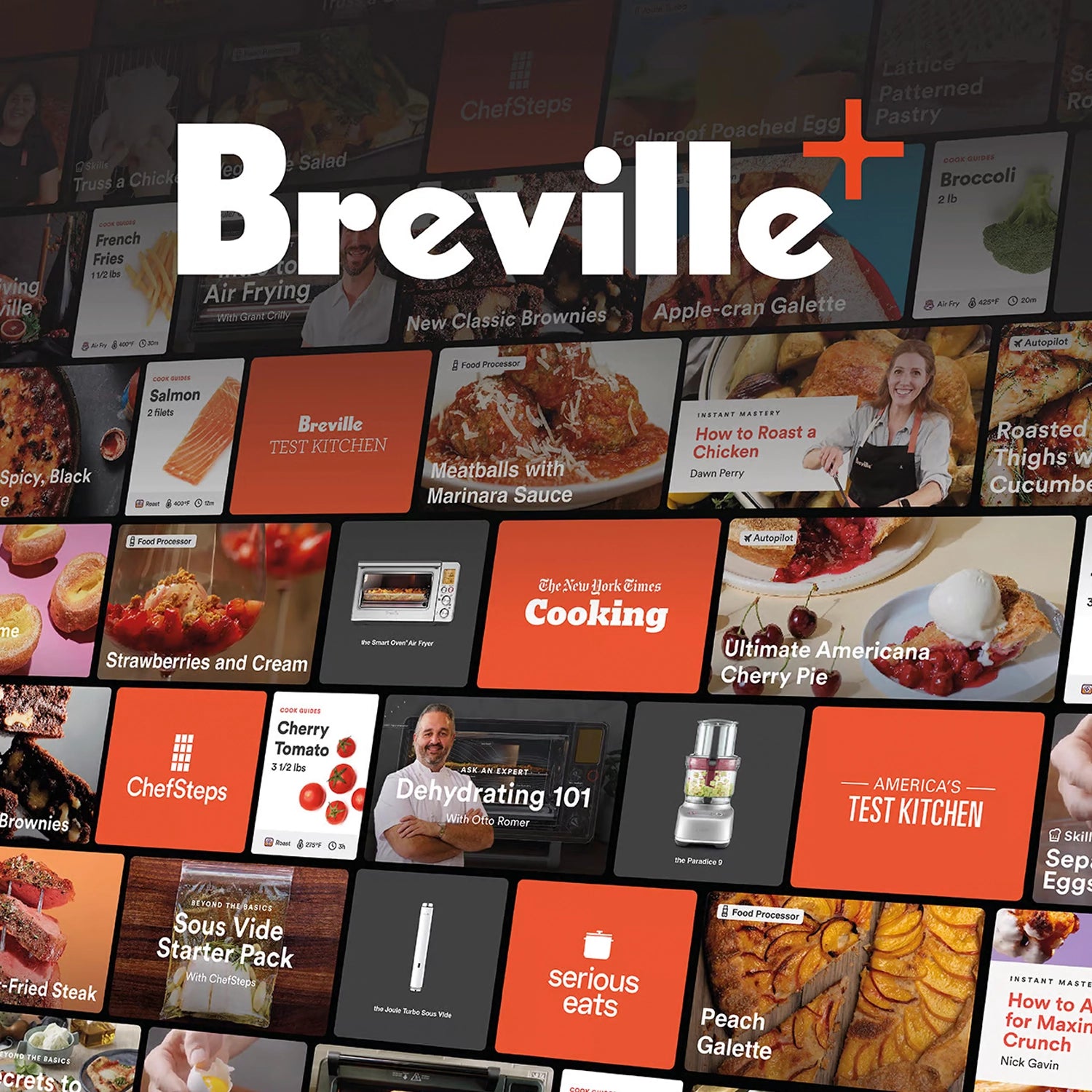 Breville Paradice 9-Cup Food Processor - BFP638BSS Stainless Steel | Perfect for Meal Prep, Dough Kneading & Vegetable Chopping | Compact Kitchen Appliance for Home Cooking