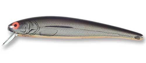 XBP - Baby Pike