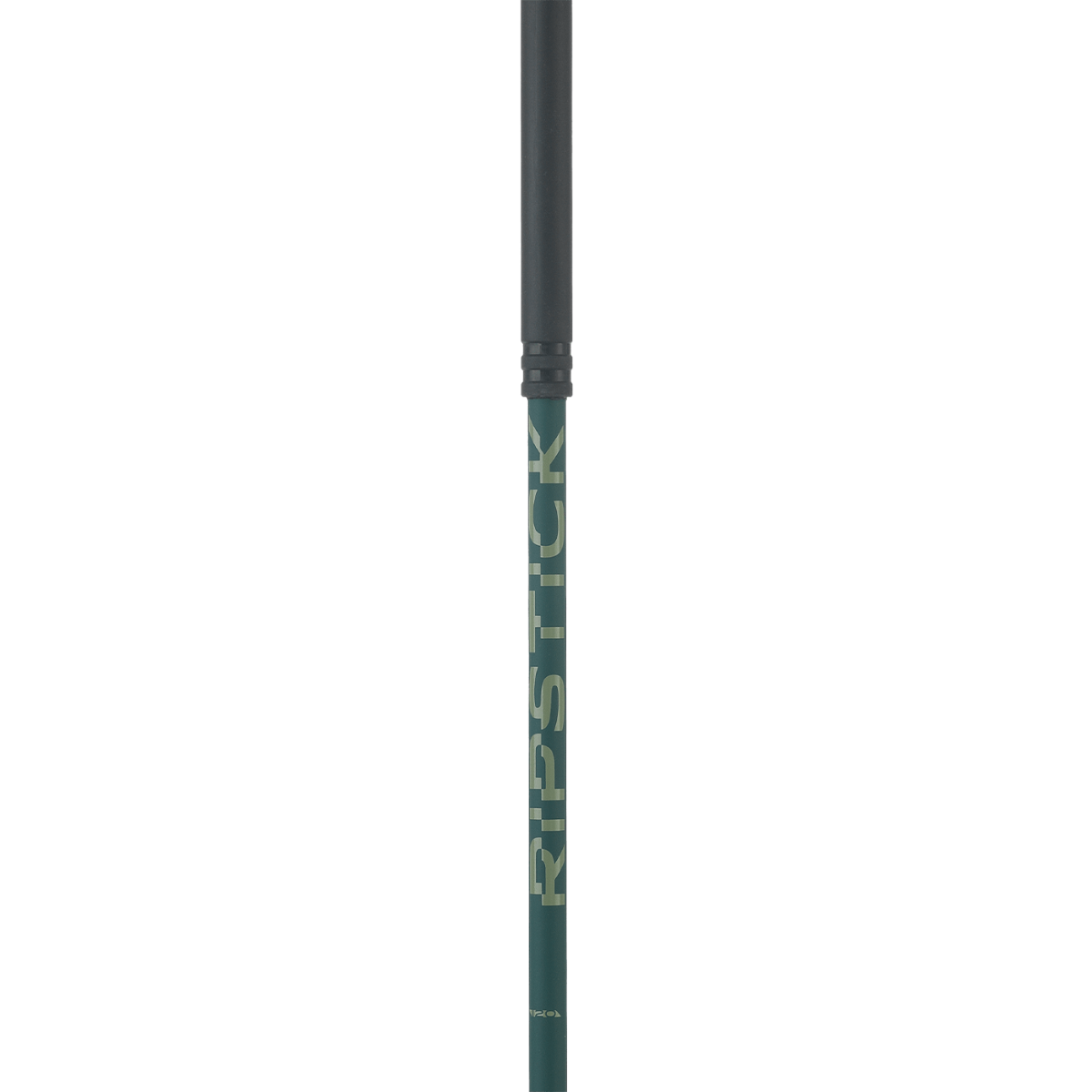 Elan Ripstick 2026 Ski Poles - Lightweight Carbon Fiber Poles for Alpine Skiing - Perfect for Downhill Racing and Freeride Skiing