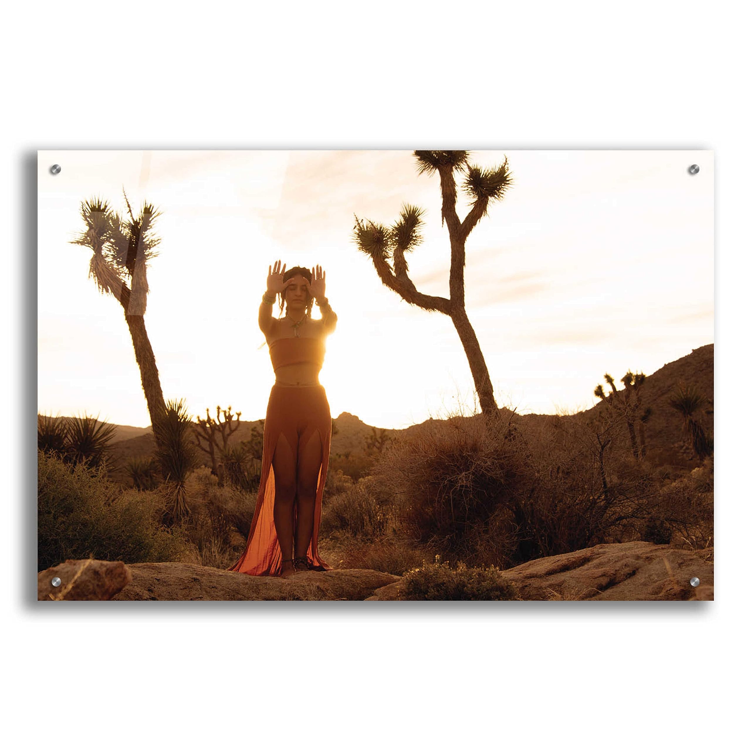 Epic Art 'Desert Priestess' by Elena Ray - 36x24 Inch Acrylic Glass Wall Painting - Modern Home & Office Decor - Perfect for Living Room, Bedroom, or Gallery Display