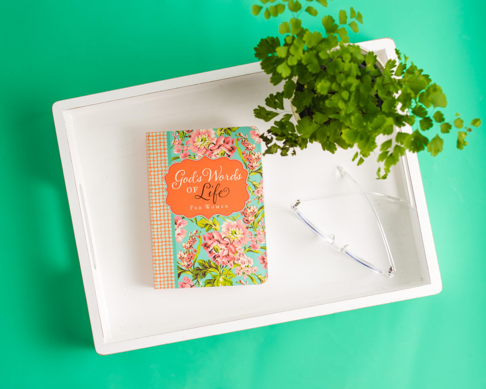 Women's Devotional Bible - Daily Inspirational Verses for All Seasons