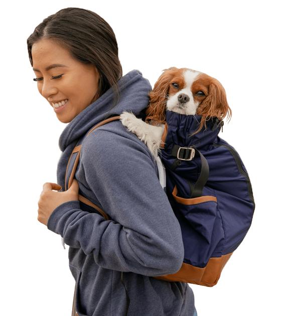 K9 Sport Sack Urban 2 Dog Backpack Carrier - Hands-Free Pet Carrier for Hiking, Biking & Travel - Burgundy - Perfect for Outdoor Adventures with Your Dog