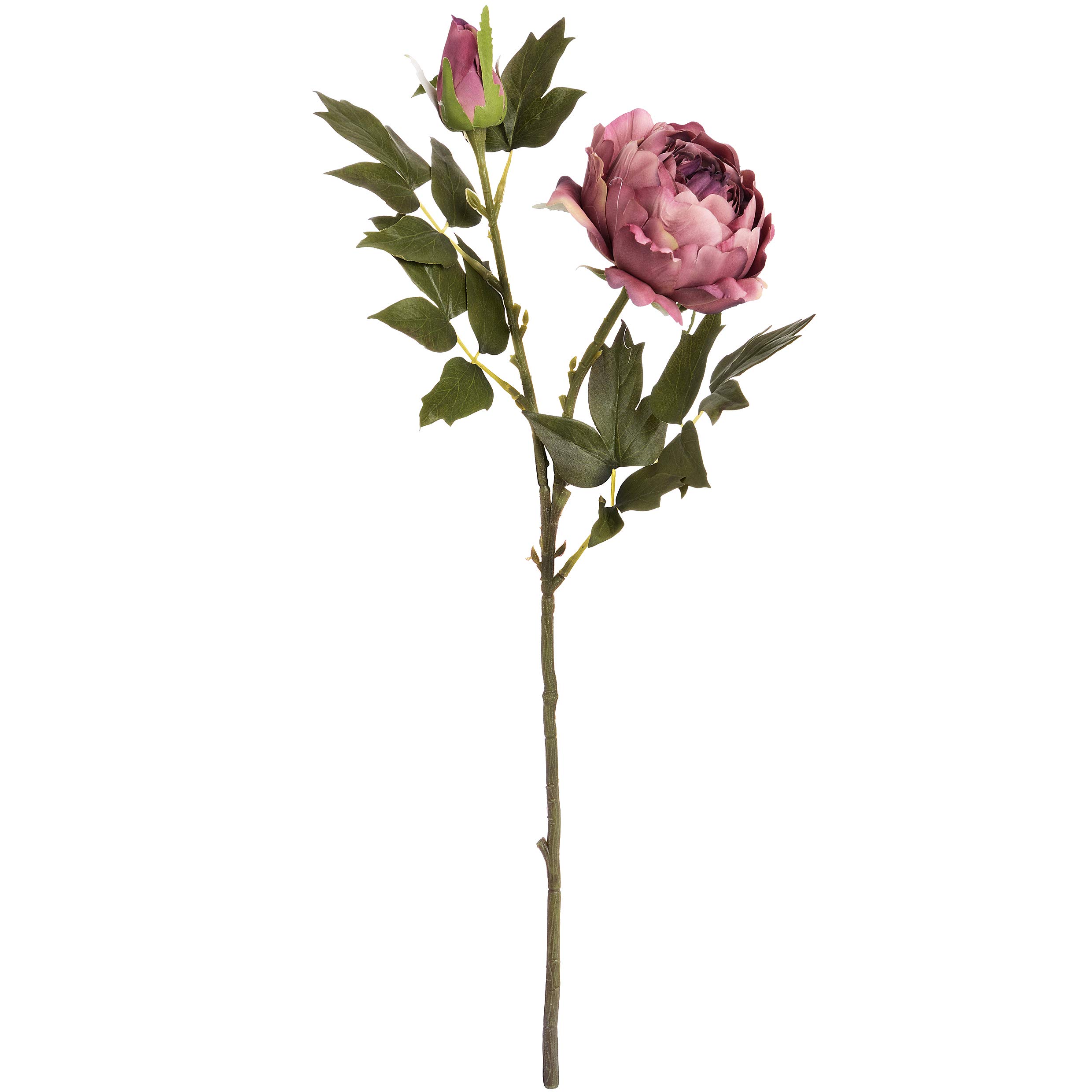 Premium Dusty Pink Spray Rose Peony Bouquet - Fresh Cut Flowers for Weddings, Home Decor & Special Occasions