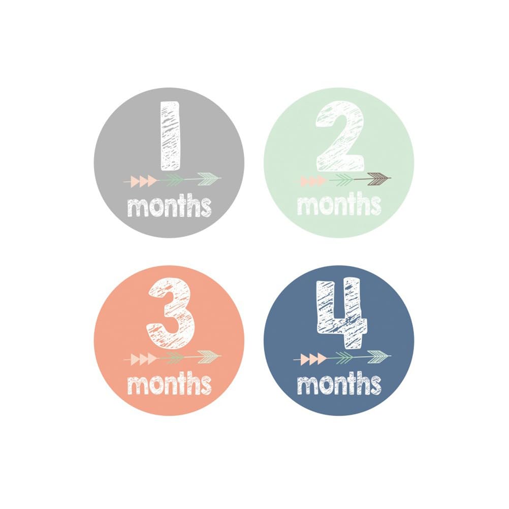 NUOBESTY 12-Piece Baby Monthly Milestone Stickers Set for Boys & Girls - Perfect for 1-12 Month Photo Shoots, Baby Showers & First Birthday Decorations