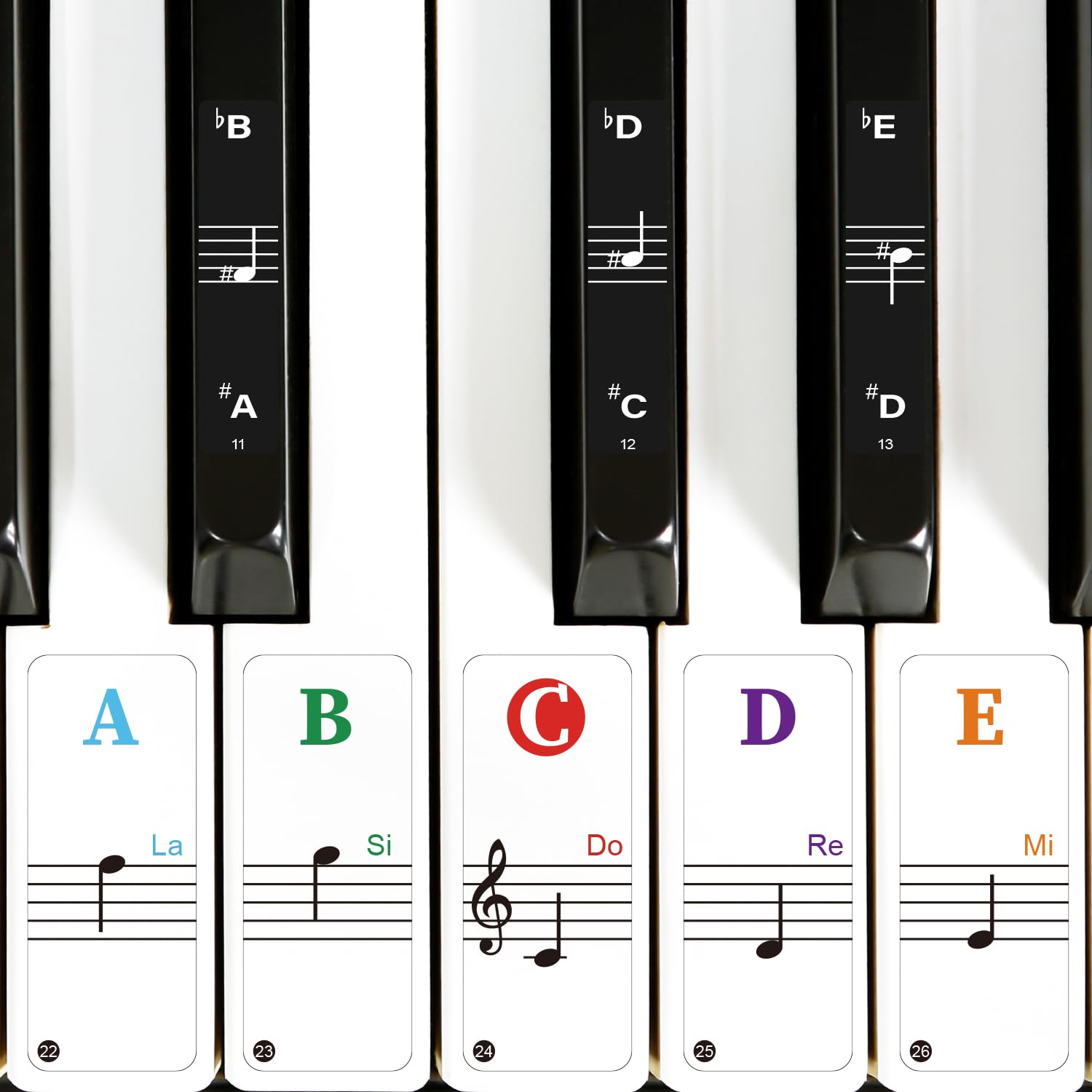 Colorful Removable Piano Keyboard Stickers for 88/61/54/49 Keys - Transparent Large Bold Letter Note Labels for Beginners | Perfect for Music Learning, Practice & Teaching