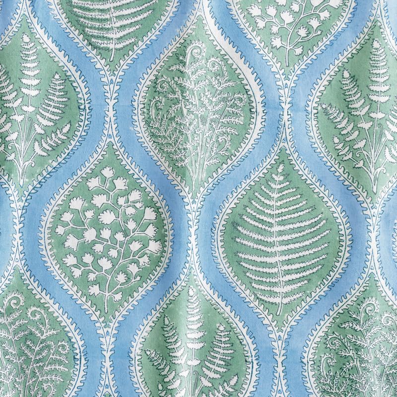 Woodland Ferns