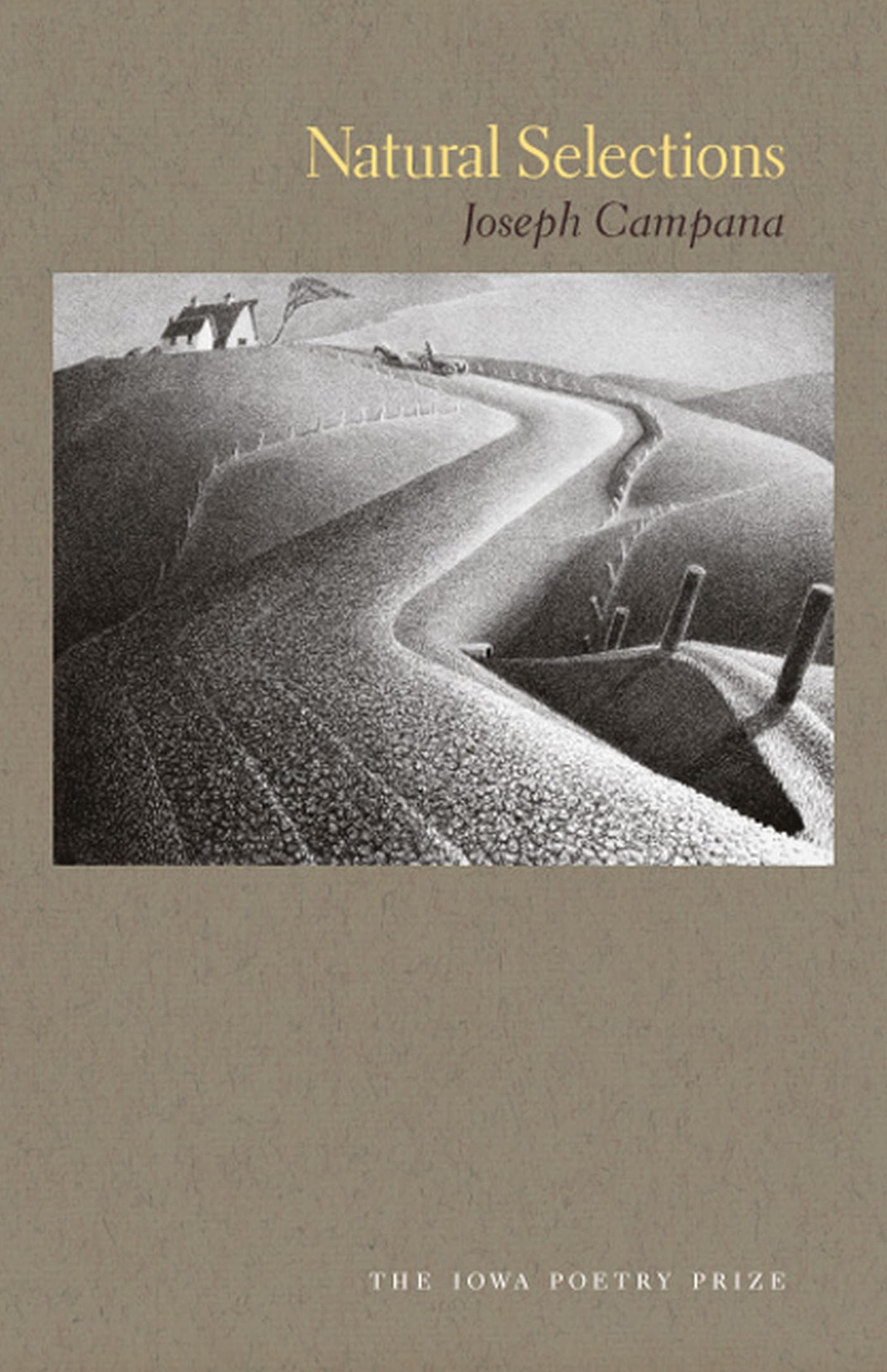 Natural Selections - Award-Winning Iowa Poetry Prize Book | Poetry Collection for Literature Lovers, Book Clubs & Gift Ideas