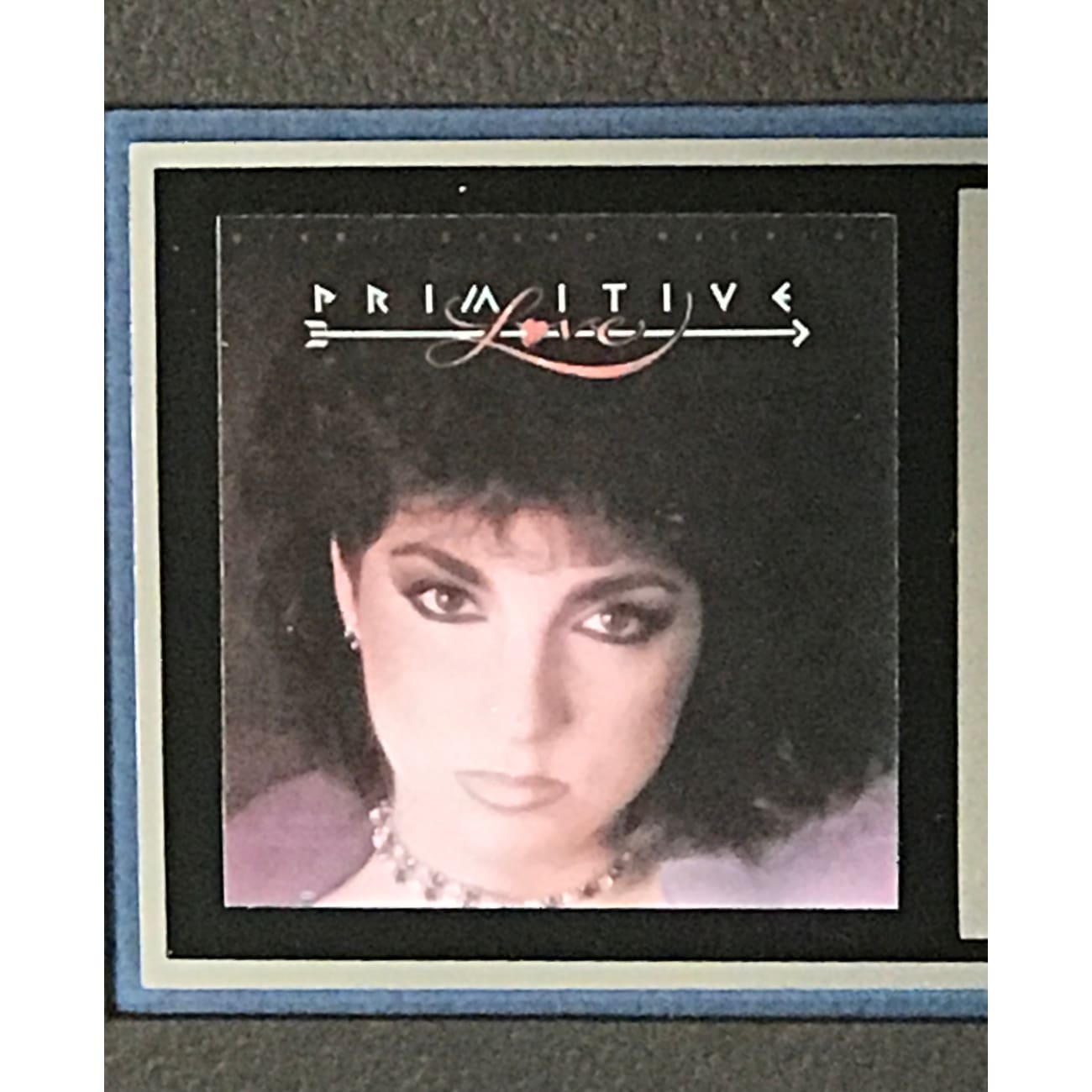 Gloria Estefan & Miami Sound Machine Primitive Love RIAA Certified Platinum Album Award - Perfect for Music Collectors & 80s Disco Fans Home Decor
