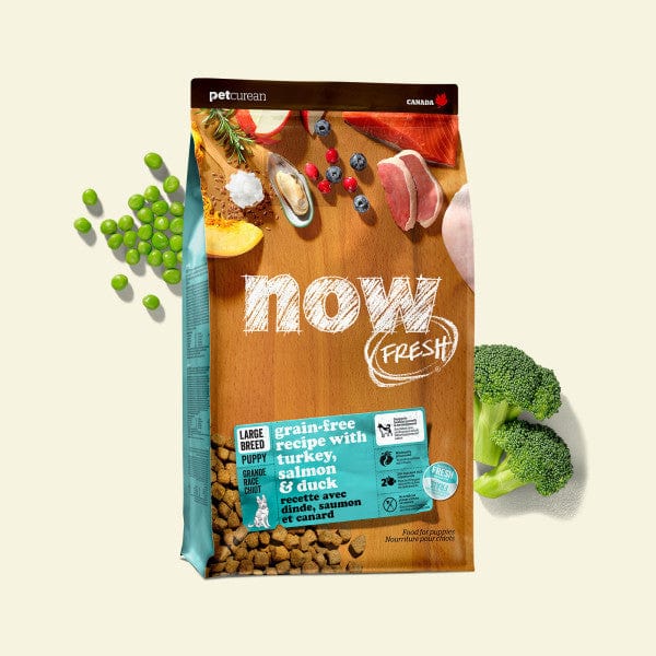 Now Fresh Turkey, Salmon & Duck Recipe Large Breed Dry Puppy Food - Premium Grain-Free Nutrition for Growing Big Dogs - Perfect for Active Puppies & Large Breed Development