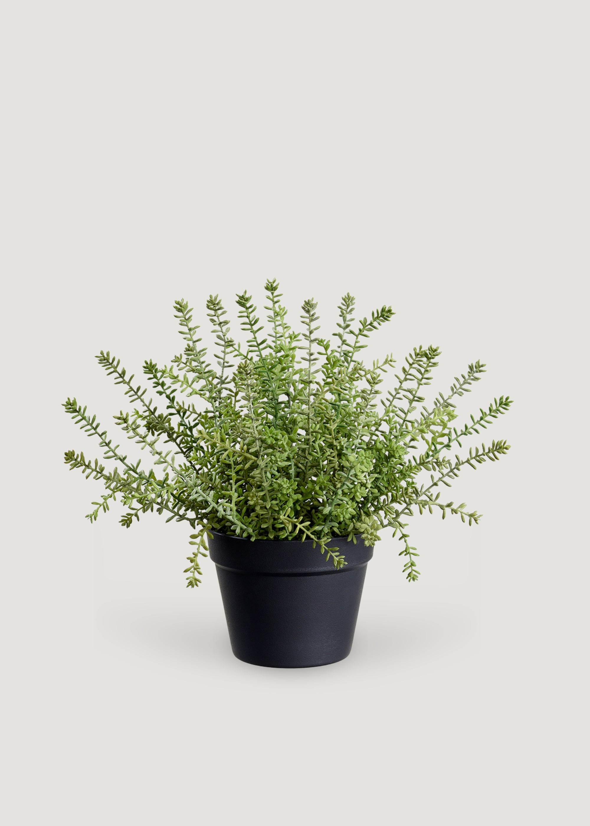 Artificial Potted Sedum Succulent Plant in Decorative Plastic Pot - 15.5 Inch Fake Greenery for Home Office Decor, Shelf Styling and Wedding Centerpieces