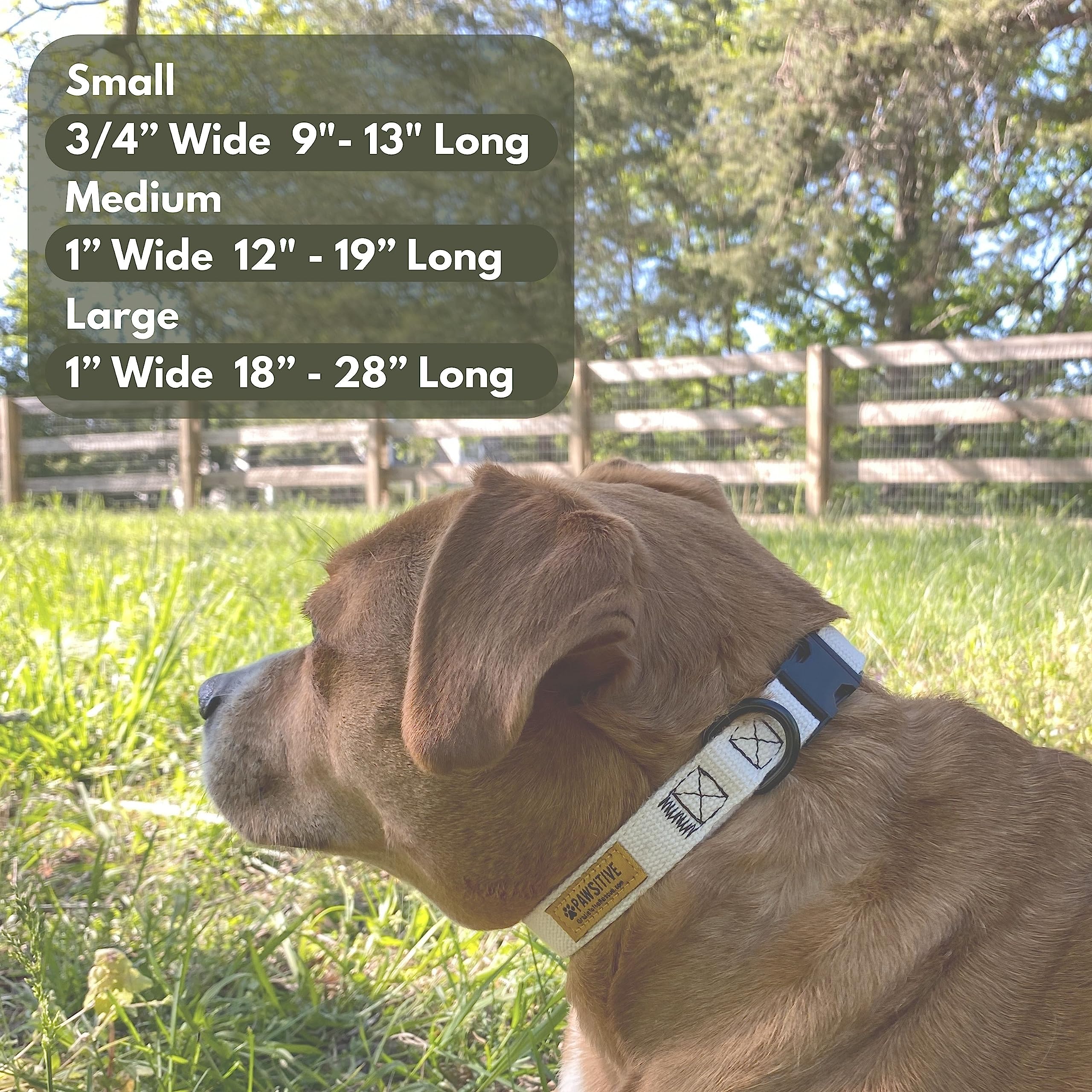 Pawsitive Teal Hemp Dog Collar - Hypoallergenic Soft Lining for Small, Medium & Large Dogs | Durable & Comfortable Pet Collar for Walking, Training & Outdoor Adventures (Emerald Green)