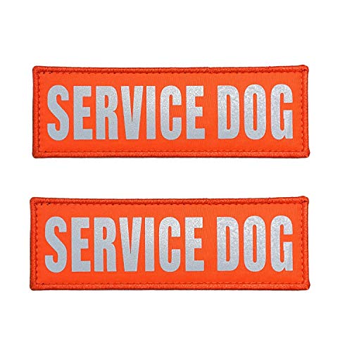 SERVICE DOG