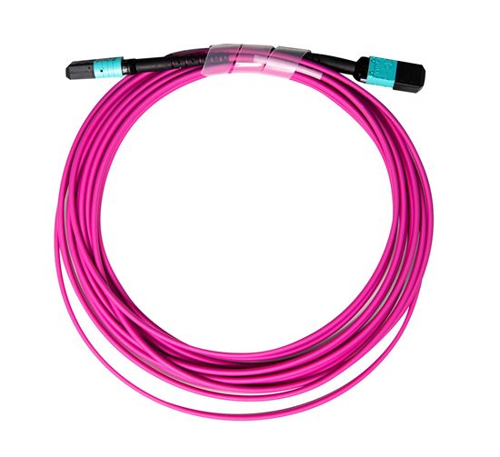 10M OM4 MPO Elite Trunk Multimode Fiber Cable - Polarity A Straight Through for High-Speed Data Centers & Server Rooms