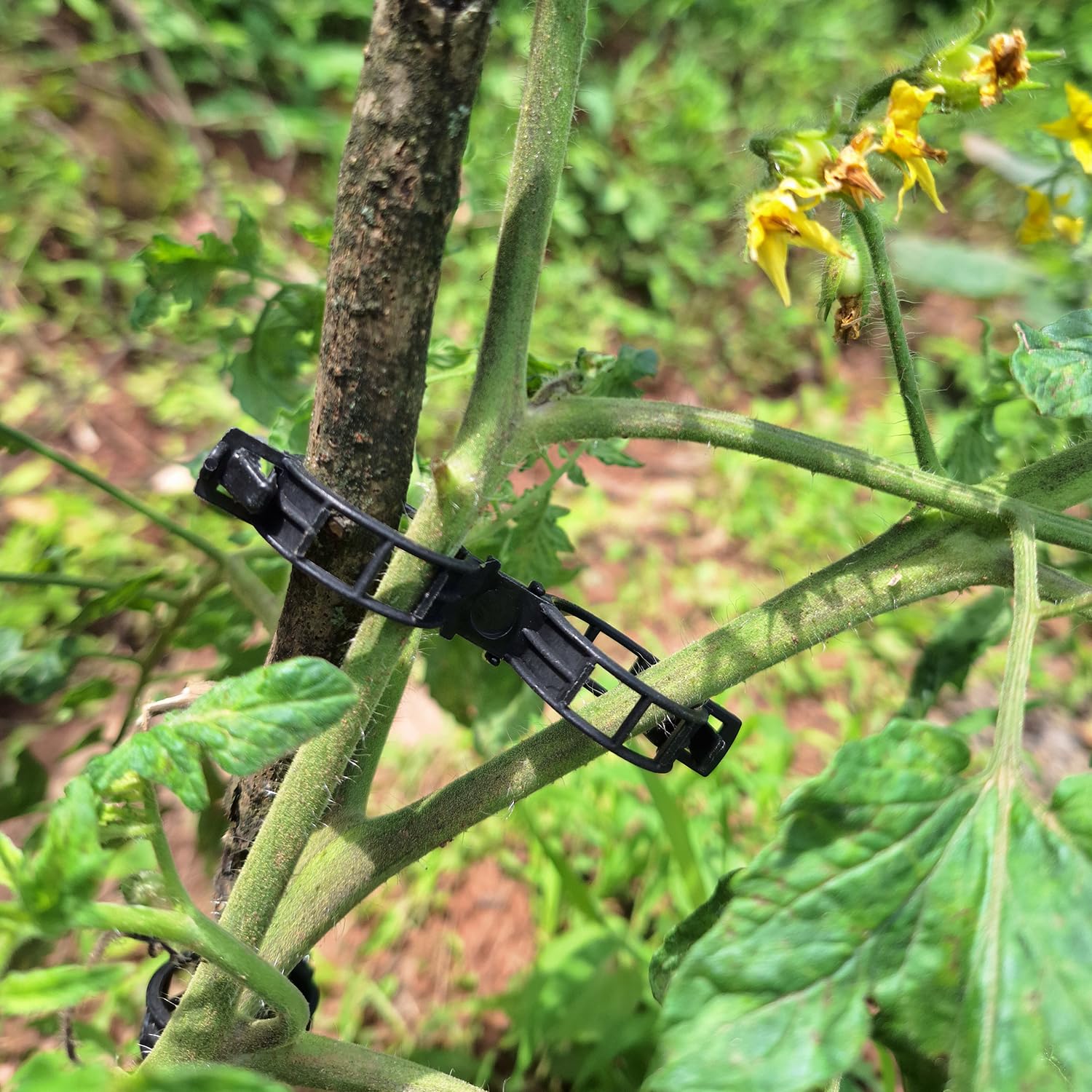 200Pcs Black Plant Support Clips - Heavy Duty Tomato Clips for Climbing Plants, Garden Trellis Clips for Vine Support - Perfect for Tomatoes, Cucumbers, Beans & Vertical Gardening