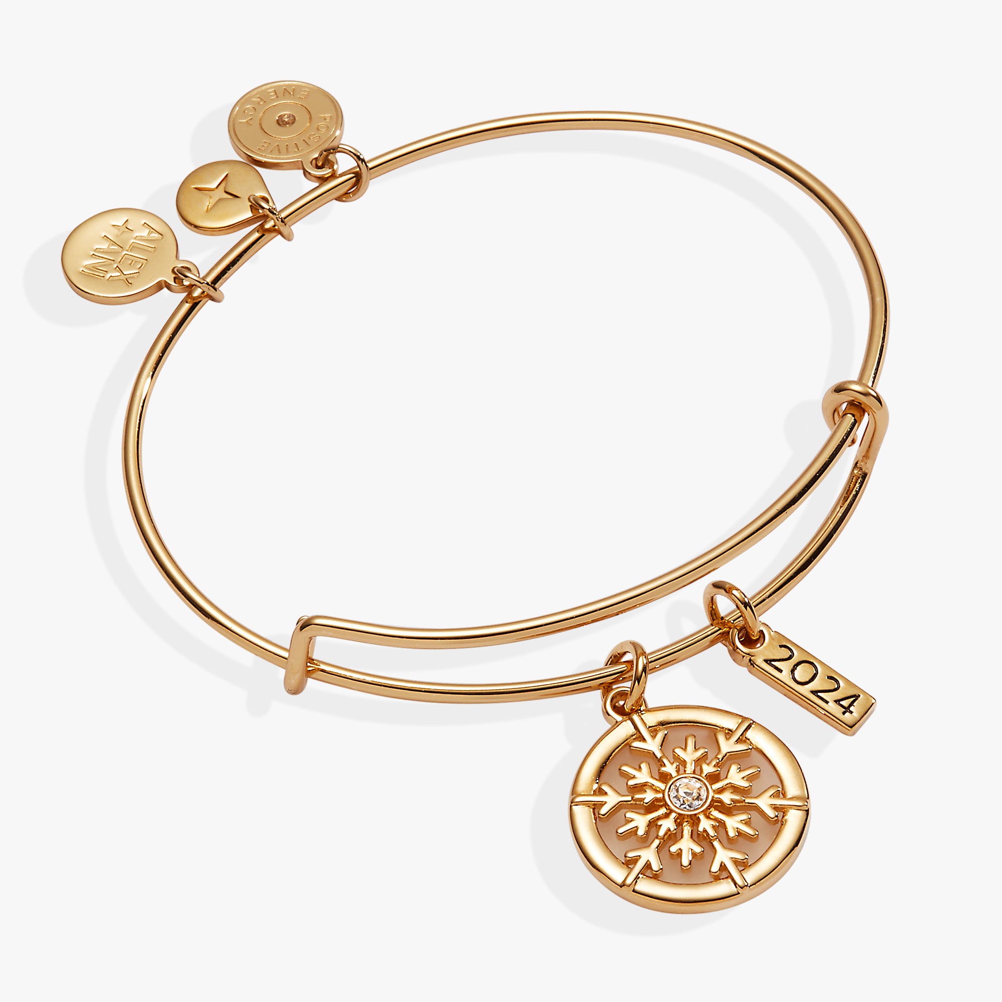 2024 Frosted Snowflake Charm Bangle Bracelet for Women - Elegant Winter Jewelry Gift for Christmas, Party & Holiday Outfits