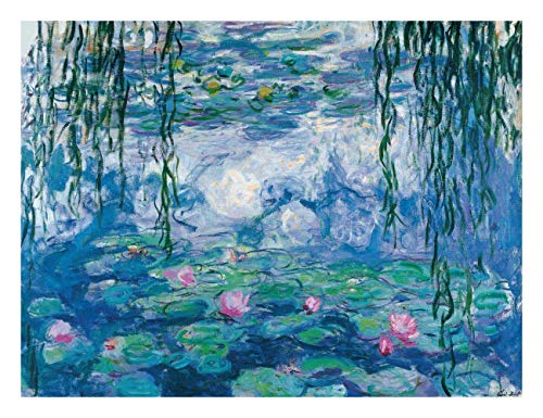 Water Lilies