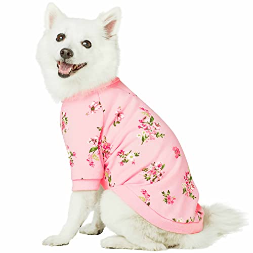 Crew-neck - Baby Pink