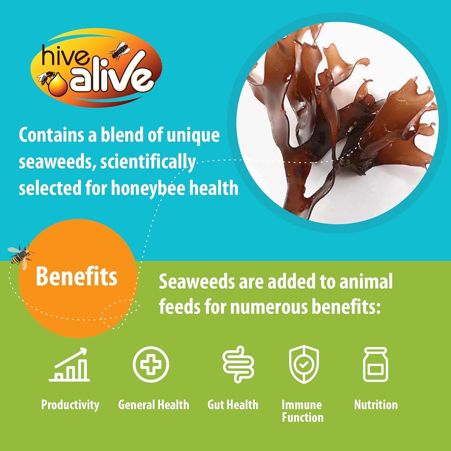 Hive Alive Fondant Bee Food Supplement – Easy-to-Use Winter Bee Feed Enhancer Prevents Starvation & Boosts Gut Health – 15 Pack for Beekeeping & Overwintering Hive Maintenance