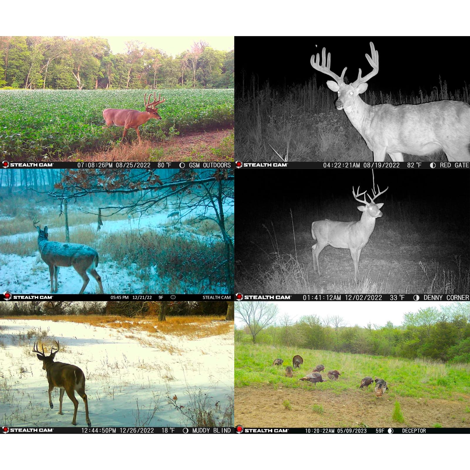 Stealth Cam Deceptor IR Trail Camera - 80ft Detection, 40MP Photos, 1440P HD Video at 30FPS, Wireless App Control for Hunting & Wildlife Monitoring (AT&T & Verizon Compatible) - Perfect for Remote Property Surveillance and Outdoor Adventure Tracking