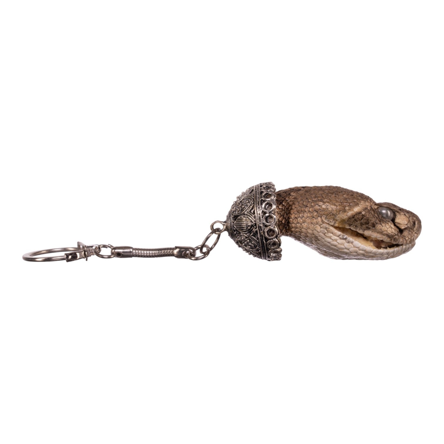 Freeze Dried Rattlesnake Keychain - Unique Reptile Souvenir & Gift for Outdoorsmen, Snake Lovers - Perfect for Hiking, Camping, and Adventure Enthusiasts