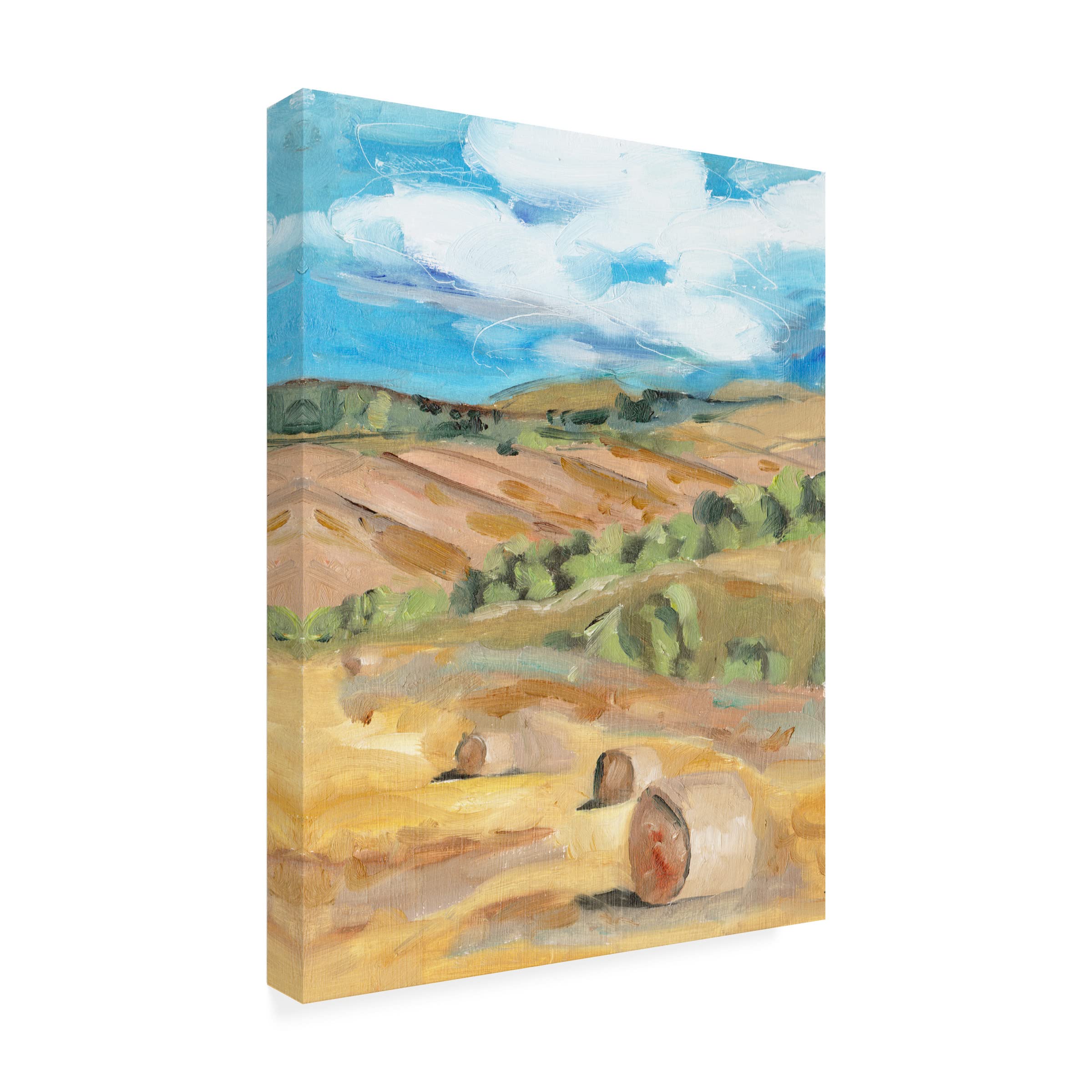 Trademark Fine Art 'Hay Bales II' Canvas Wall Art Print by Melissa Wang - Farmhouse Decor, Country Living Room, Office & Bedroom Wall Decor