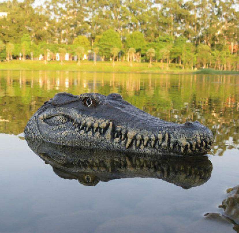 Crocadillo RC Crocodile Boat - Remote Control Swimming Toy for Kids & Adults, Pool & Lake Water Play, Fun Outdoor Gift