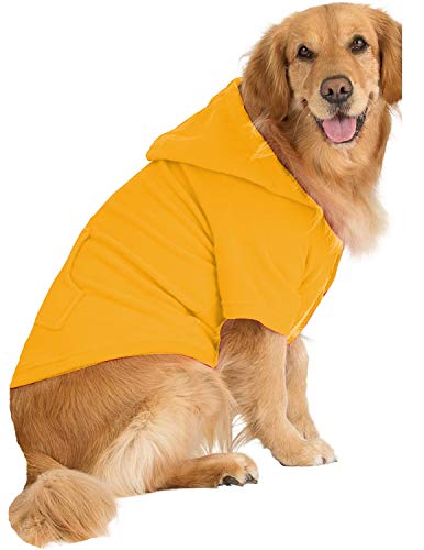 Creamsicle