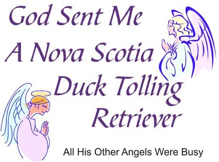 God Sent Me A Nova Scotia Duck Tolling Retriever T-Shirt - Funny Dog Lover Gift for Pet Owners - Perfect for Casual Wear & Dog-Themed Events