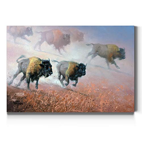 Plains Thunder