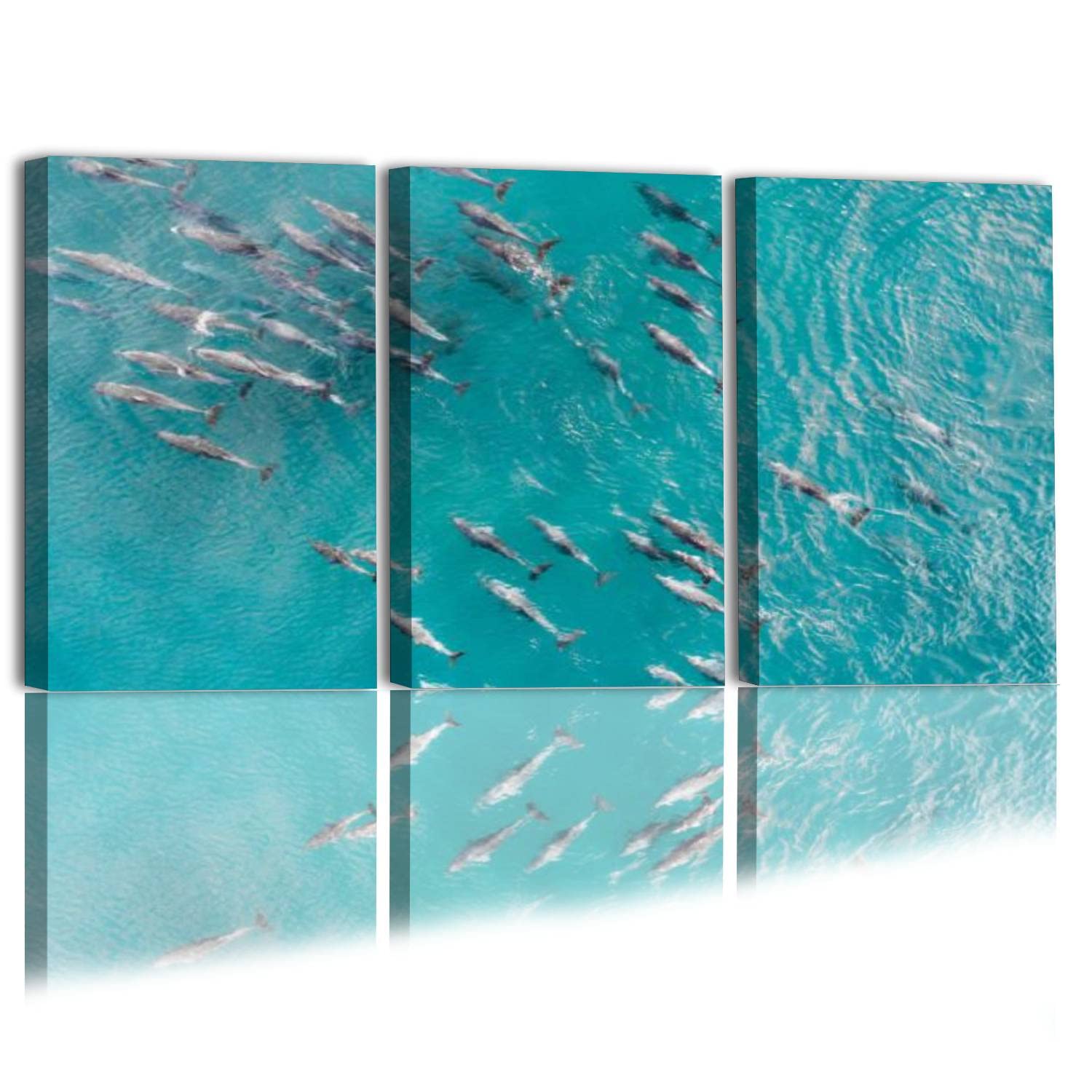 3 Piece Canvas Wall Art - Aerial View of Dolphin School Swimming in Warm Waters, Gallery Wrapped Modern Ocean Painting for Living Room & Bedroom Decor - Ready to Hang - Perfect for Coastal, Beach House or Nautical Themed Rooms
