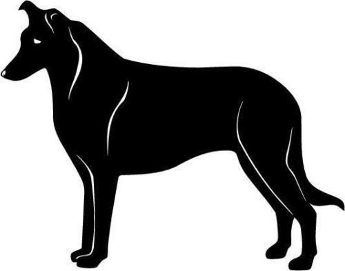 Collie Dog Vinyl Decal Stickers - Die Cut Car Window, Wall, Laptop Decals for Cars, Trucks, Tool Boxes, MacBooks & Smooth Surfaces | Perfect for Pet Lovers, Home Decor & Personalizing Devices