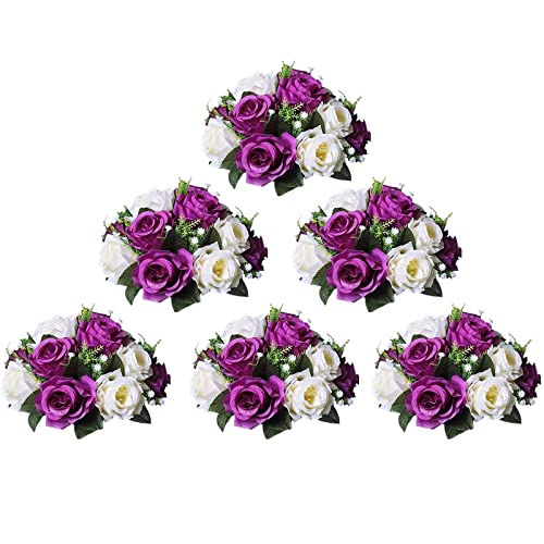 Purple White