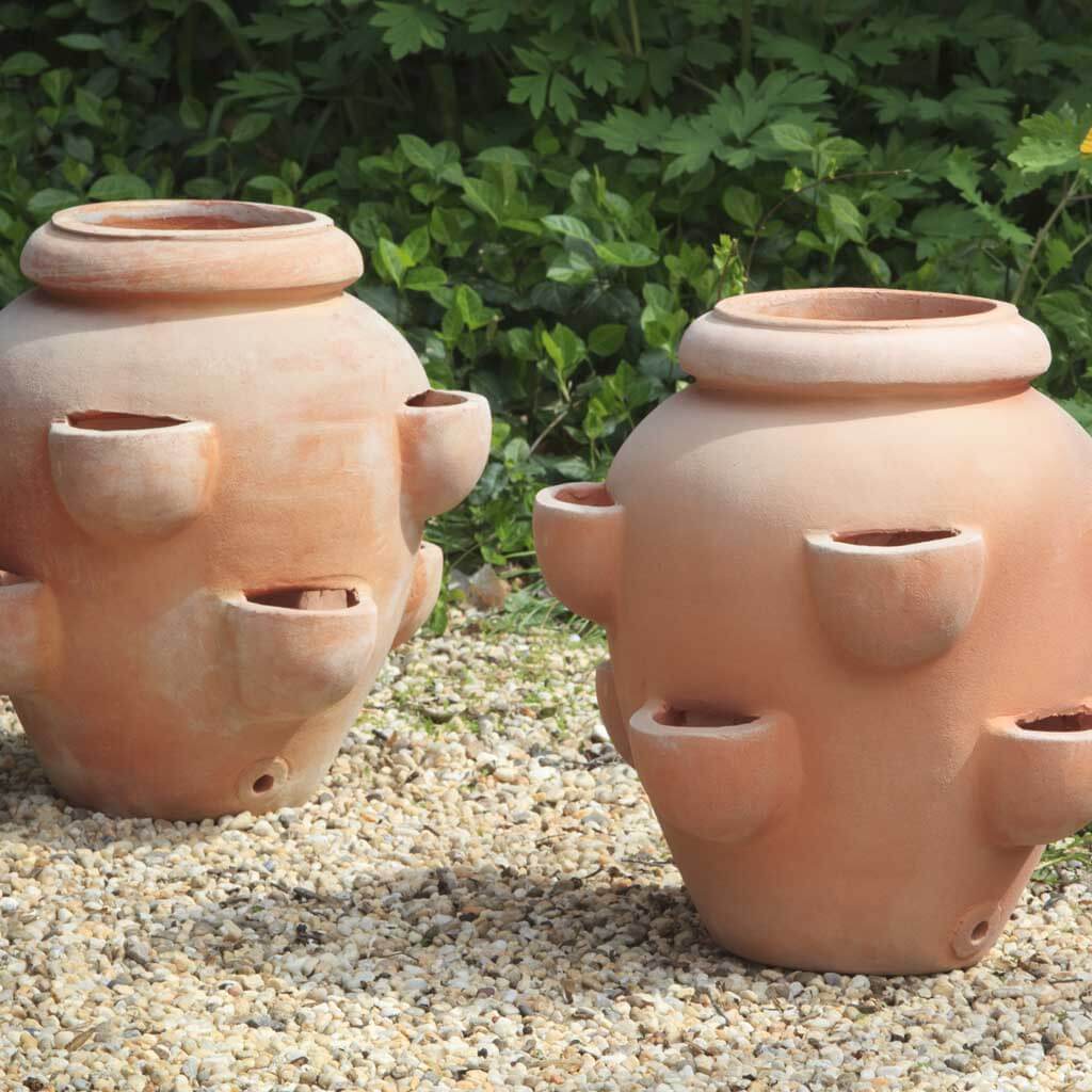 Campania International Tascandi Strawberry Jar Set of 2 - Terra Cotta Plant Pots for Strawberries, Herbs & Small Plants | Perfect for Kitchen Windowsill, Garden Decor & Gift Ideas