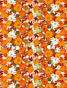 Fall Pumpkin Autumn Halloween