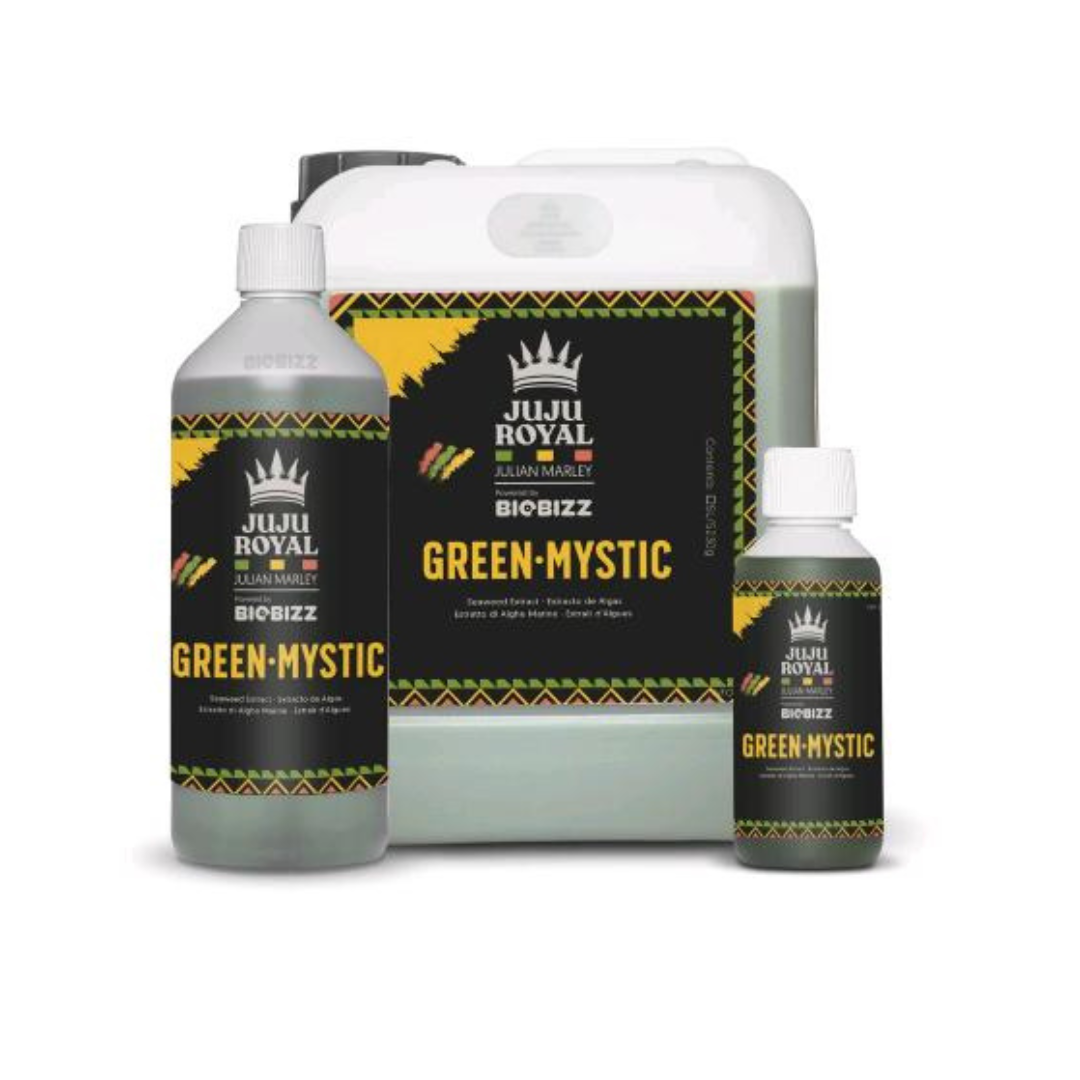 Juju Royal Green Mystic Incense Sticks - Premium Aromatic Sticks for Meditation, Yoga & Relaxation - Perfect for Home, Spa & Spiritual Practices
