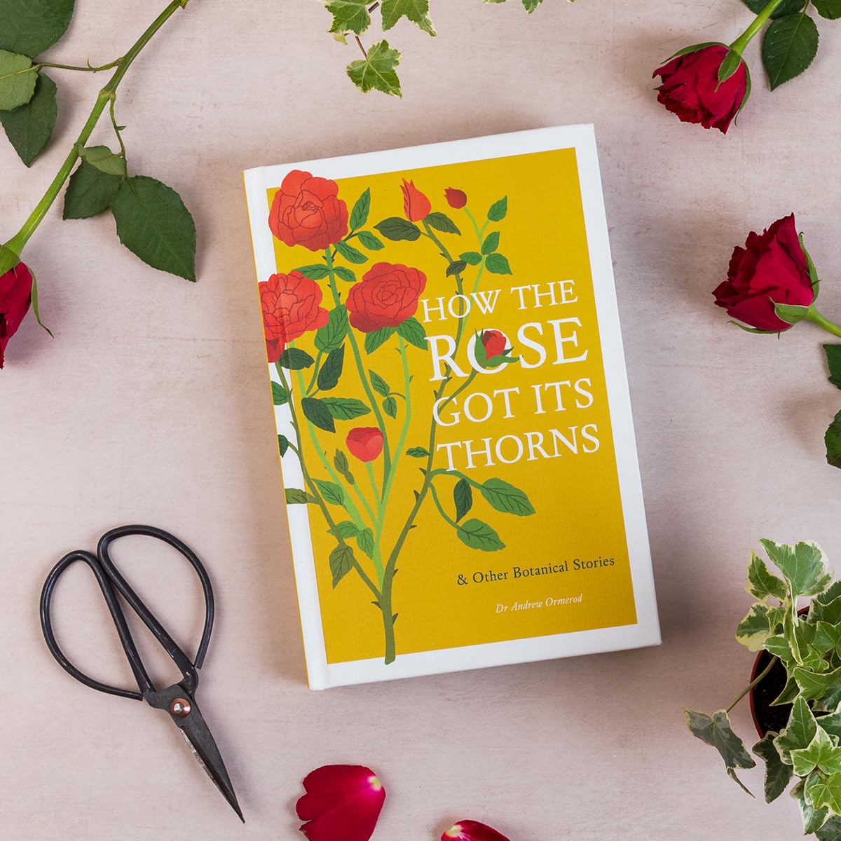 How the Rose Got Its Thorns: Botanical Stories Book - Perfect for Nature Lovers & Garden Enthusiasts
